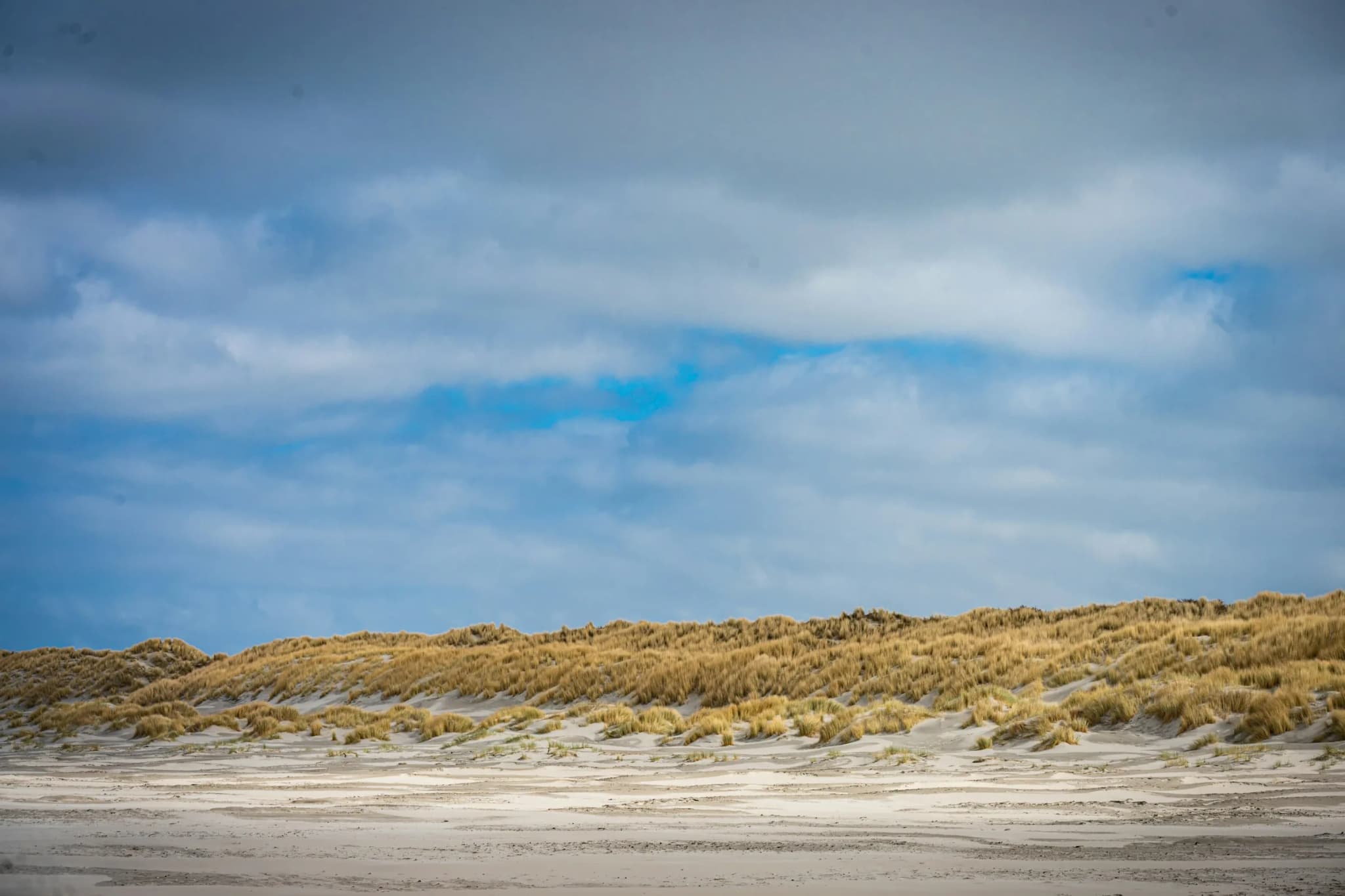 Klitter med marehalm ved en nordisk kyst under en skyet himmel