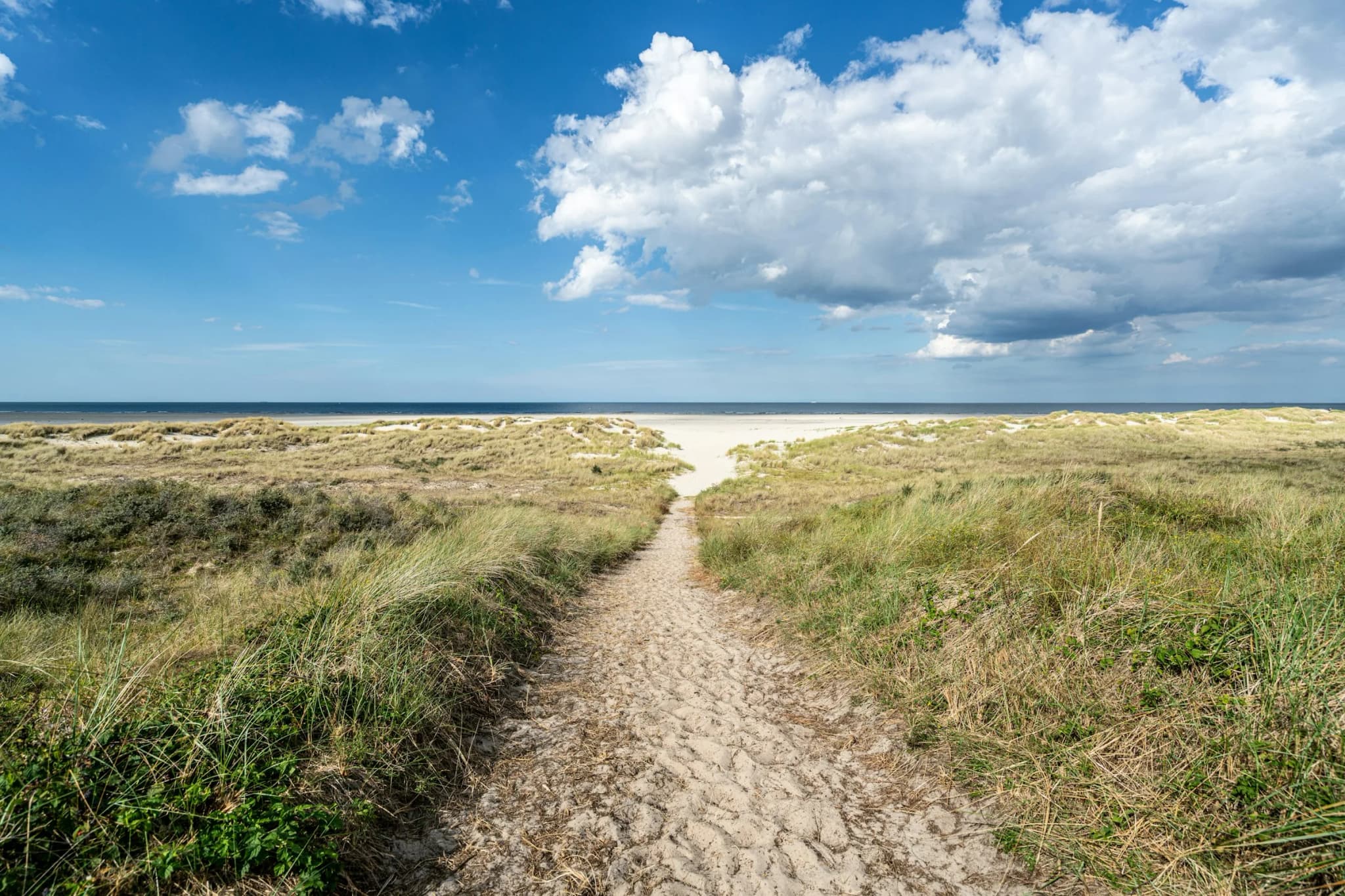 En sandsti gennem klitter og marehalm ned mod stranden